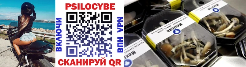 Купить где  Тырныауз  Галлюциногенные грибы Cubensis 
